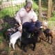 lambing-season-2015