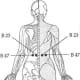 Associated Point of Kidney B23