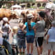 Then we followed the Chisholm Trail to the historic stockyards to watch a cattle drive. My kids were quite impressed by how long a longhorns horns actually are, and Lydia loved getting to see all the horses.