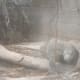 A komodo dragon.