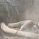 a komodo dragon.
