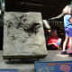 A dinosaur's footprint, July 1, 2007. At the Smithsonian's National Zoo there are many references to dinosaurs.