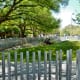 Dog Park