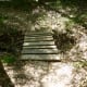 Park Trail