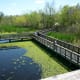View of boardwalk over White Lake