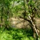 Oyster Creek