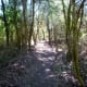 Primitive Park Trail