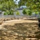 View inside of the dog park