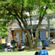 Grassy lawn areas by Niko Niko's