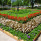 Pretty Landscaping