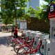 Bikes can be rented in the park