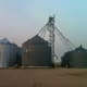 The pit and leg system on this bin cluster demands a clear, compact driveway for dumping or receiving loads of grain. The bins on the left are not part of the same system.