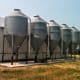 These smaller capacity bins are on the north side of a storage building. There is room to drive a truck or tractor with grain cart, though this area is seldom used outside of harvest.