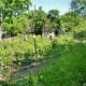 Many volunteers were working in this garden.