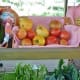 Fresh produce is sold here at the garden farm in Montrose.
