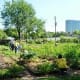 Volunteers are working in this garden.