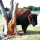 bear-creek-park-changes-in-the-largest-county-park-in-texas