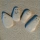 Have fun painting Halloween designs on rocks. Place them around town for others to find.