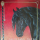 Friesian horse