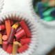 Place broken crayons in cupcake liners