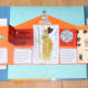 inside ancient Greece lapbook