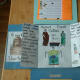ancient Greece lapbook
