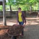 Spring Work Day 2015