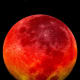 Photos Of The Blood Moon