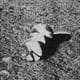 This was from one of the unmanned Russian missions. Many people over the years have tried their best to figure out what it is. It is clearly a man made or alien made object.