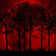 Photos Of The Blood Moon