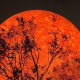 Photos Of The Blood Moon