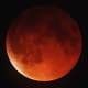 Photos Of The Blood Moon