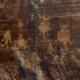 Petroglyphs
