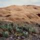 Petrified Sand Dunes