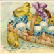 Baby Easter chicks on a basket filled with eggs