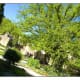 Herb Garden & Nostradamus' Oak