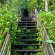 10-breathtaking-san-francisco-stairway-walks