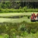 Observing Nature from wesselmannaturesociety.org