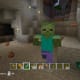Minecraft Gameplay