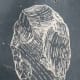 Early stone age implement. From information plaque in the Reserve