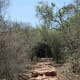The steep, stony path to the ridge