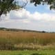 Farm near Derby