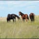 south-africa-en-route-from-pretoria-to-klerksdorp