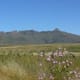 Ventersdorp region, South Africa
