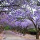 south-africa-en-route-from-pretoria-to-klerksdorp
