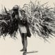 native-americans-in-the-contiguous-us-directory-of-cultures-and-histories