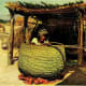native-americans-in-the-contiguous-us-directory-of-cultures-and-histories