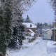 Videix in the snow