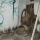 old elevator machinery