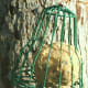 You can also roll homemade suet into balls. No matter how you serve it, wild birds flock to homemade suet!